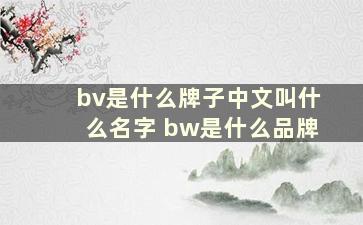 bv是什么牌子中文叫什么名字 bw是什么品牌